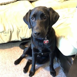 Meet your Posher, Sandra